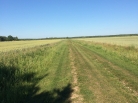 Panevėžio apskr., Panevėžio r., Liepinių k.