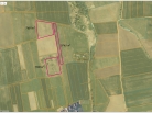 Tauragės apskr., Jurbarko r., Vadžgirio k.