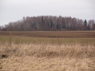 Tauragės apskr., Šilalės r., Selvestrų k.