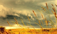 Lithuanian Agriculture Minister Kazys Starkevičius: Our agriculture is the best